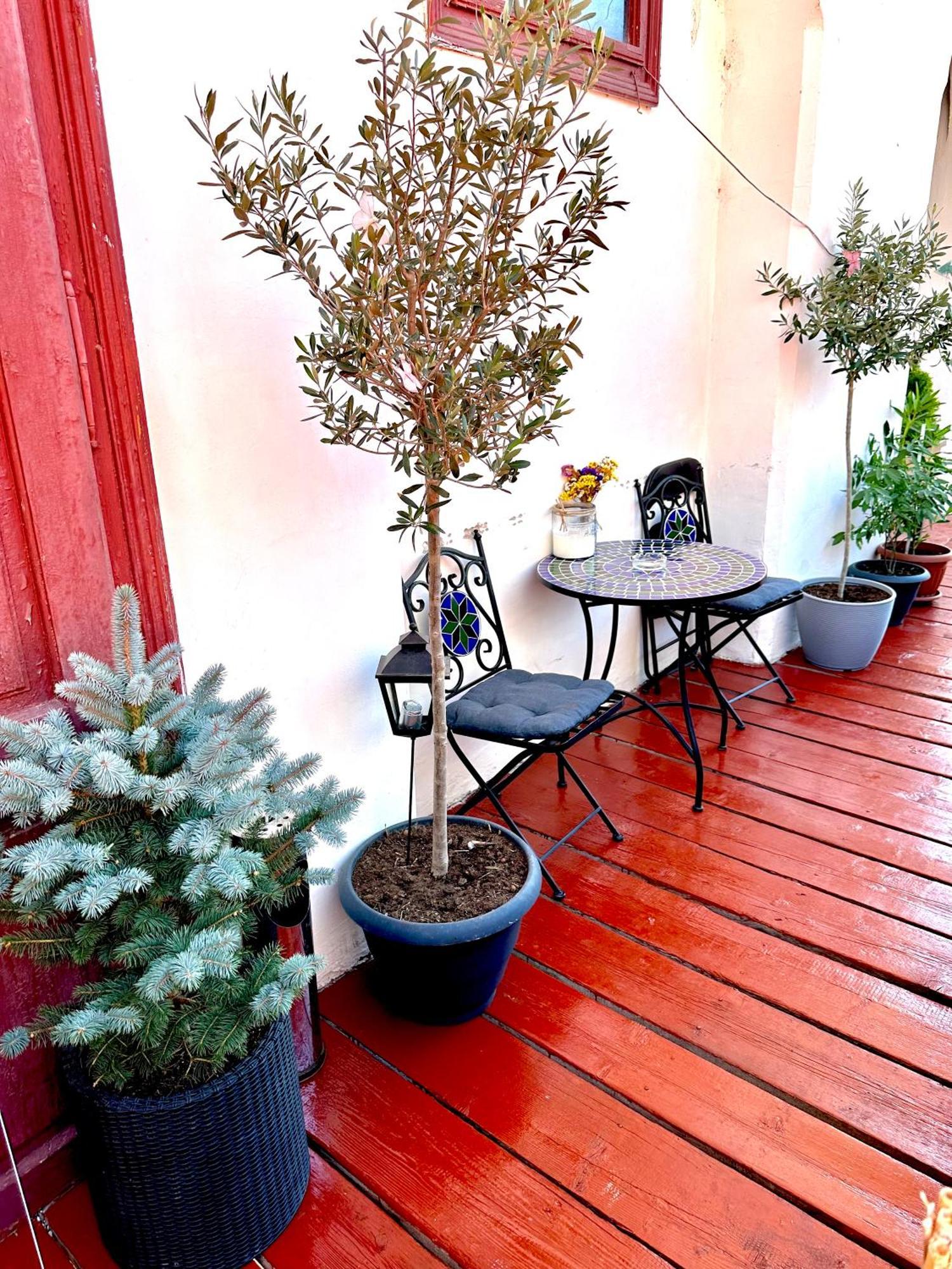 Deyinn Guest House Centrum Турда Екстериор снимка